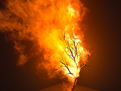 Uploads - 2021 - Firetree - Firetree - Firetree-Smallest.jpg Uploads/2021/Firetree/Firetree-Smallest.jpg