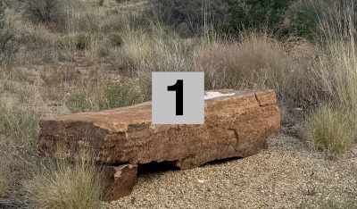 Location 1