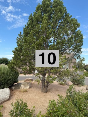 Location 10