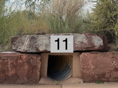 Location 11