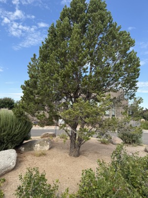 Location 12