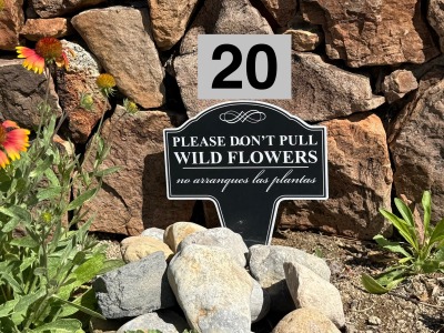 Location 20